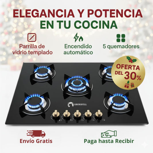 Parrilla Estufa empotrable de 5 Quemadores con Cubierta de Vidrio Templado